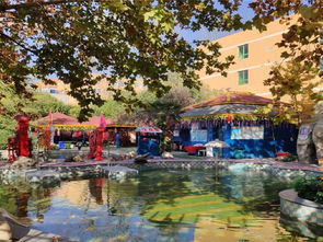 西安秦龙温泉游玩全攻略 门票价格、地址、温泉体验与贴心贴士