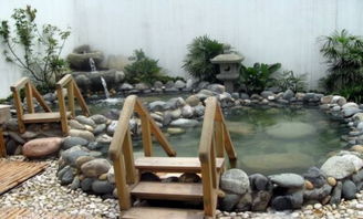 四时养生新体验 温泉机的健康妙用
