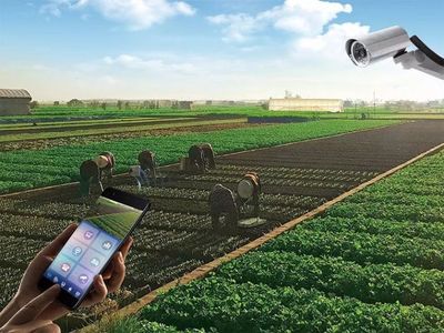 华安迪梦温泉康养小镇 融合“吃住玩游乐购”与温泉技术研发的理想目的地