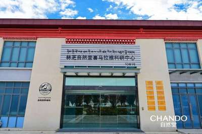 科技赋能自然护肤 揭秘喜马拉雅护肤奥秘与温泉设备研发的双重突破